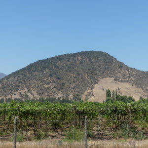 Pucara Cerro la Muralla