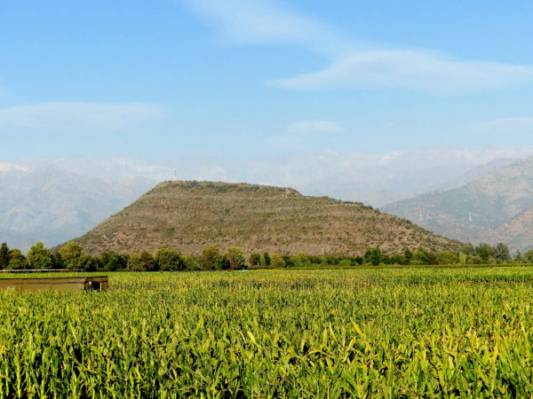 Cerro Grande de la Compañía